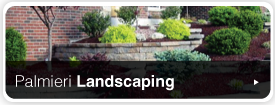 Palmieri Landscaping